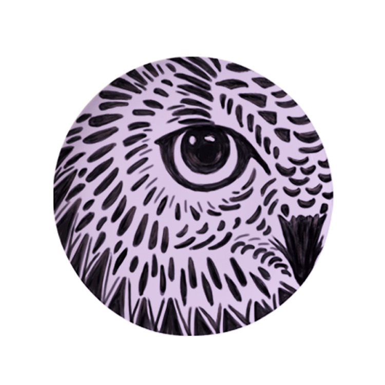Aura Nocturna