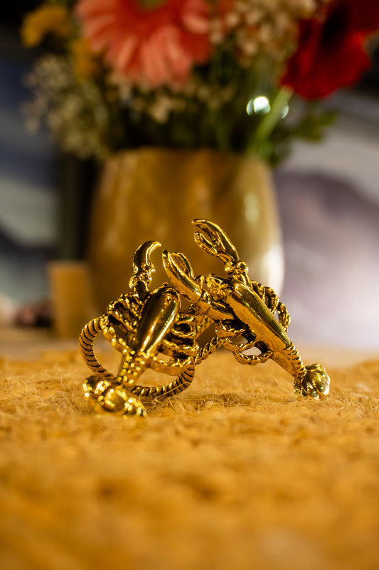 Colección Mar